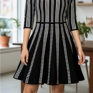 Black and White Chic 3/4 Sleeve Sweater Dress
